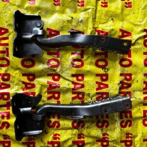 Bisagras de cofre Dodge Vision 2019